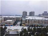 mmexport1517023678116