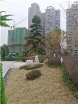 IMG_20180123_154106