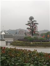IMG_20180123_154021