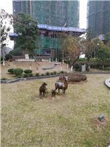 IMG_20180123_153947