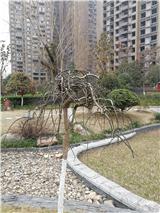 IMG_20180123_153935