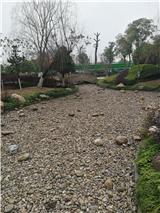 IMG_20180123_153829