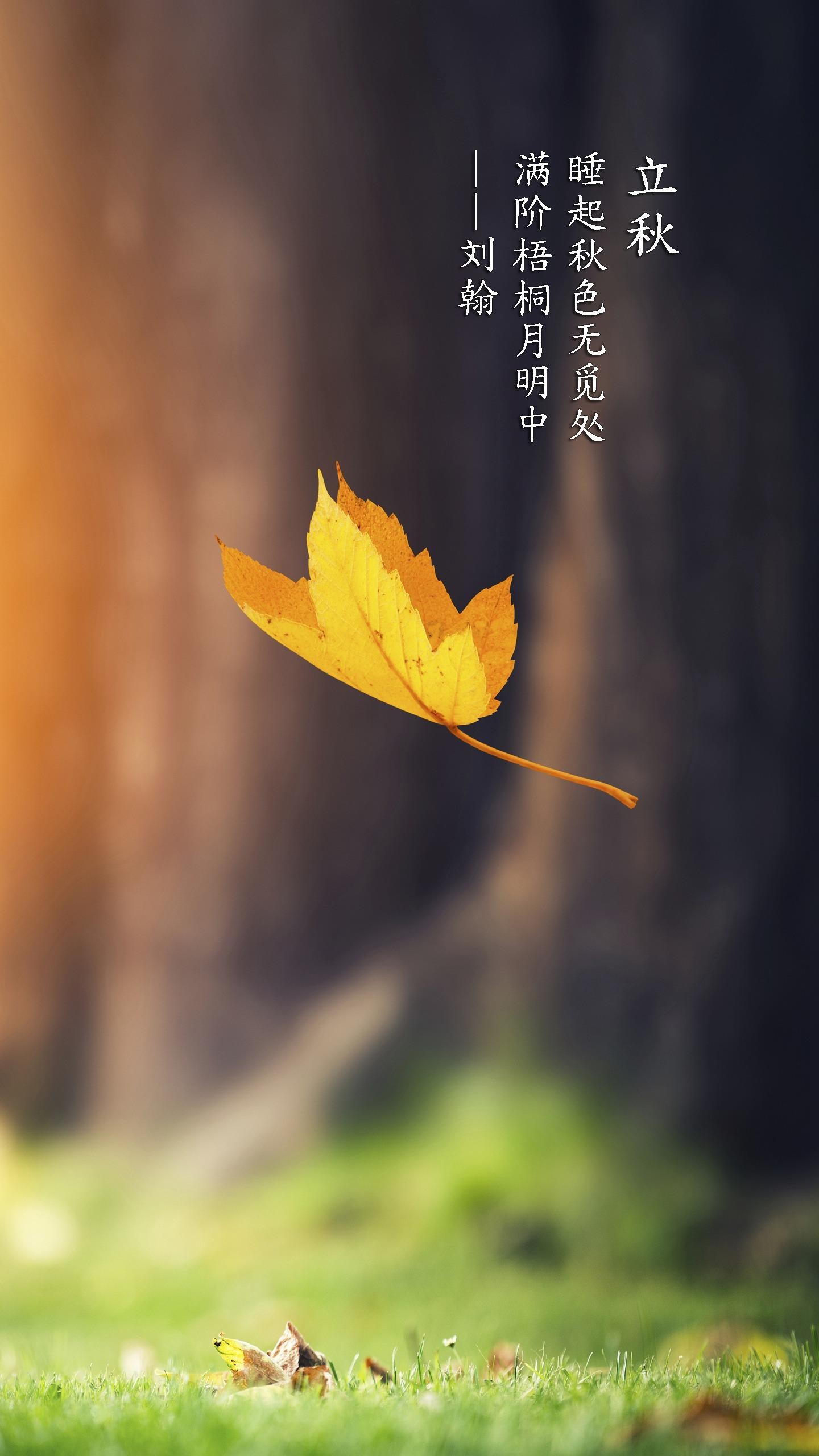 美景